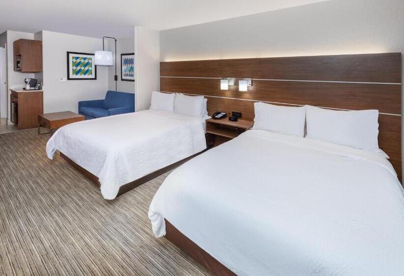 Holiday Inn Express Hotel & Suites Lafayette South, An Ihg