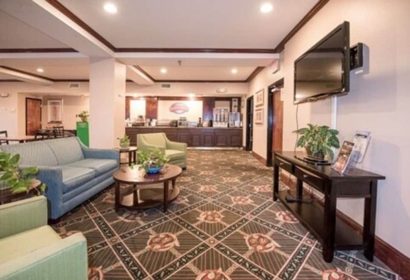 酒店 Stay Inn & Suites Montgomery