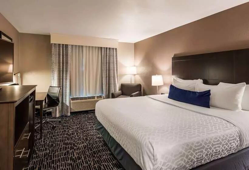 酒店 Best Western Greeley