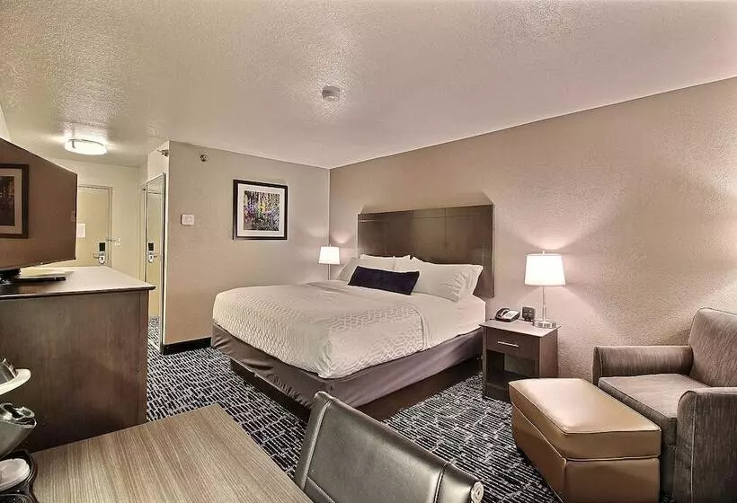 酒店 Best Western Greeley