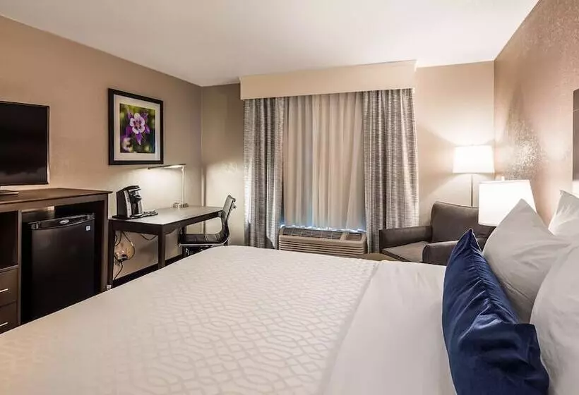 酒店 Best Western Greeley