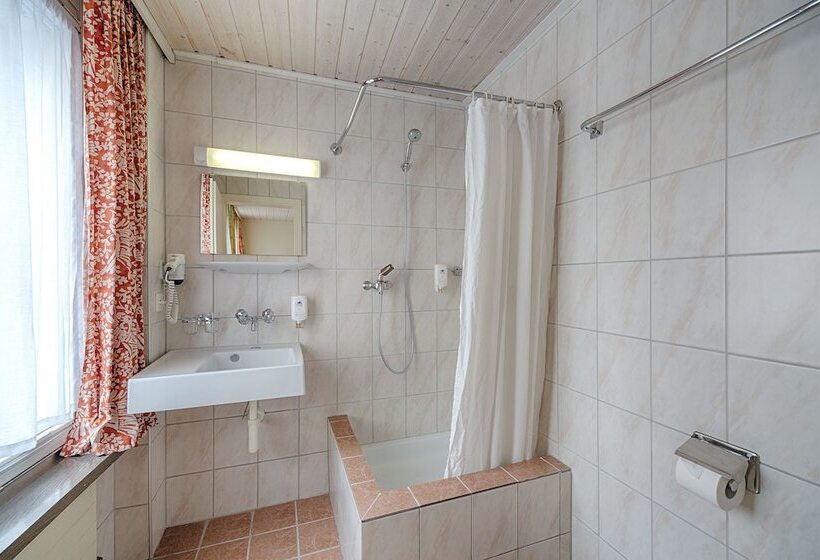 בית מלון כפרי Blume Interlaken