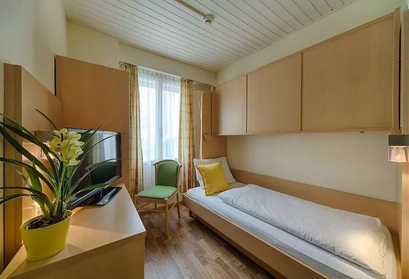 ホテル Blume Interlaken