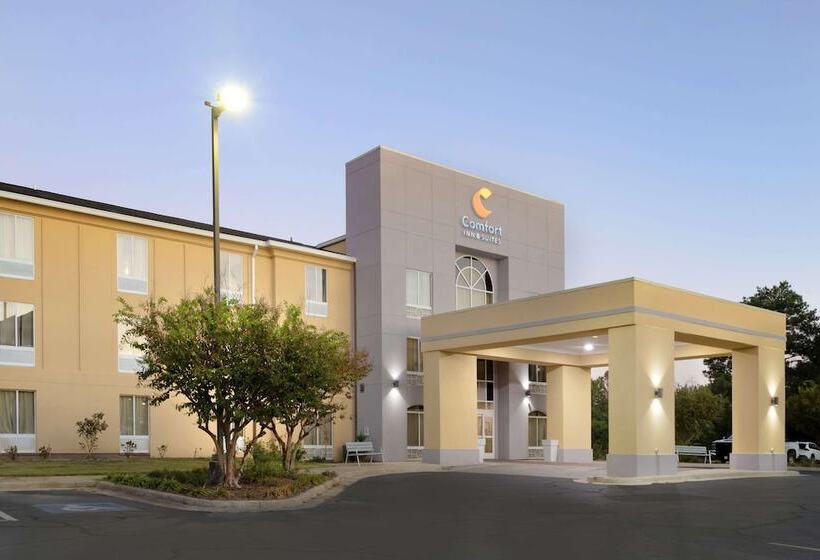 酒店 Comfort Inn & Suites Rustoneast