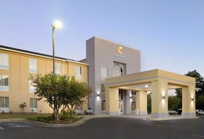 酒店 Comfort Inn & Suites Rustoneast
