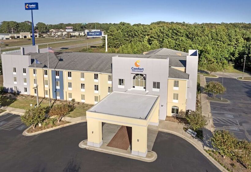 酒店 Comfort Inn & Suites Rustoneast
