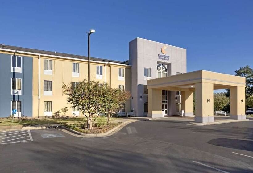 酒店 Comfort Inn & Suites Rustoneast