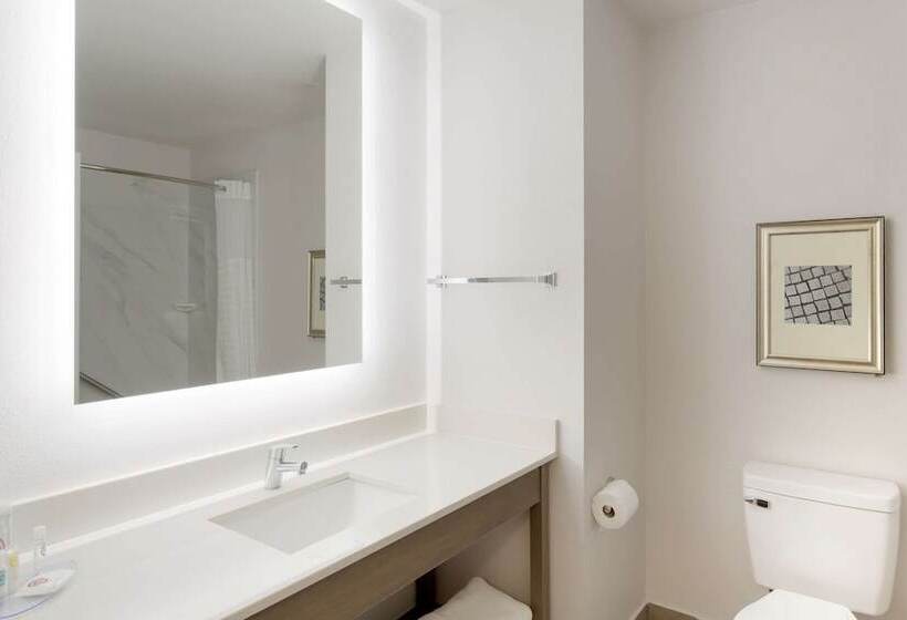 酒店 Comfort Inn & Suites Rustoneast