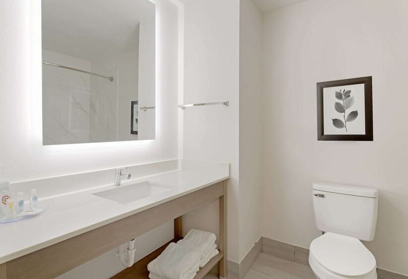 酒店 Comfort Inn & Suites Rustoneast