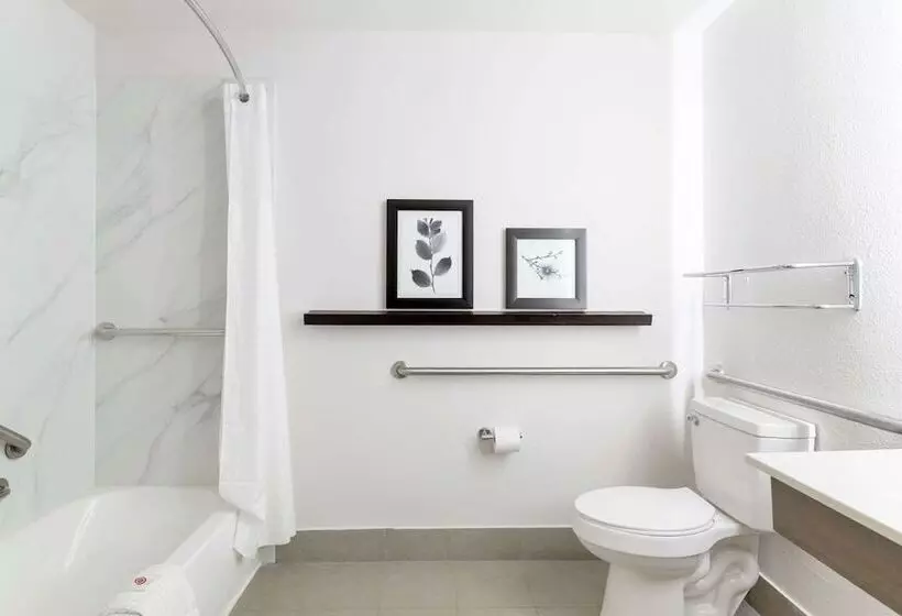 酒店 Comfort Inn & Suites Rustoneast