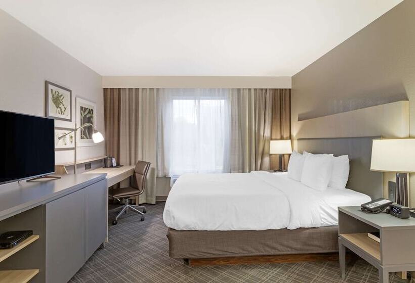 酒店 Comfort Inn & Suites Rustoneast