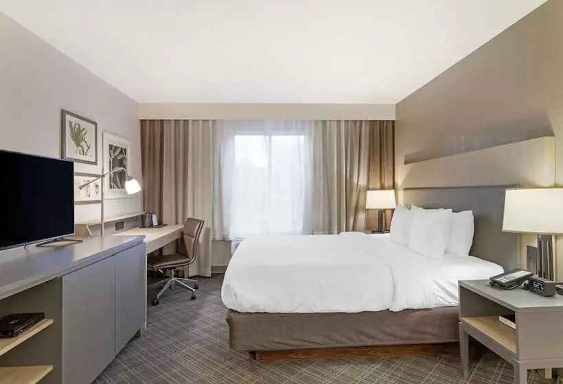 酒店 Comfort Inn & Suites Rustoneast