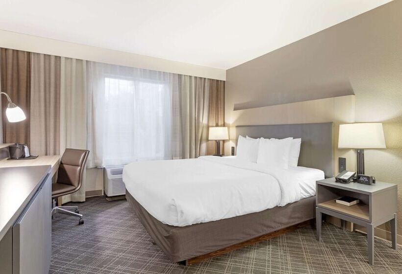 酒店 Comfort Inn & Suites Rustoneast