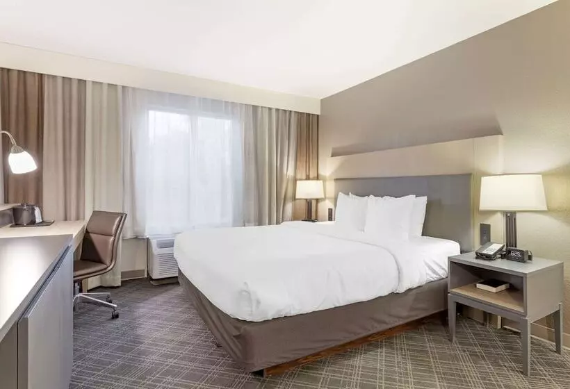 酒店 Comfort Inn & Suites Rustoneast