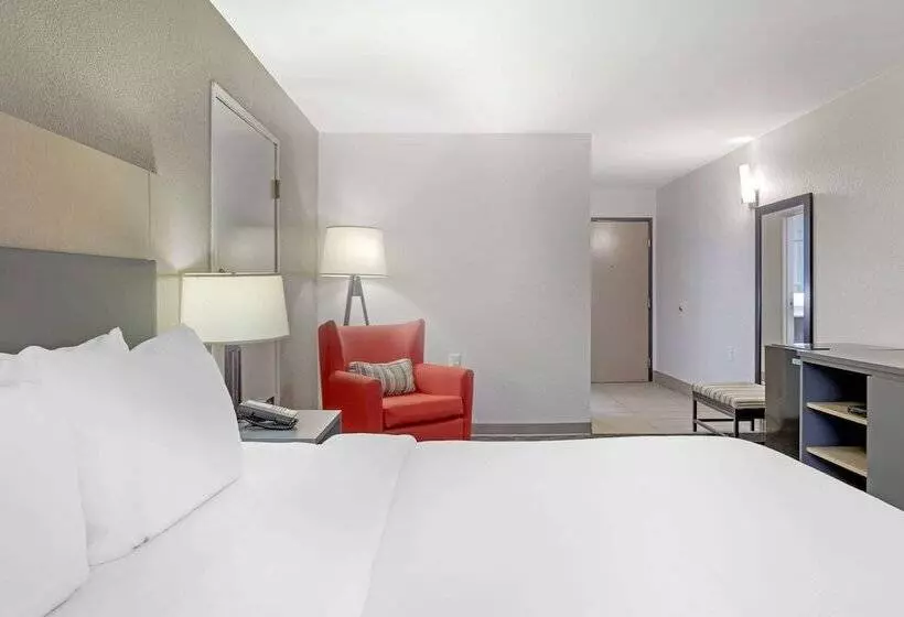 酒店 Comfort Inn & Suites Rustoneast