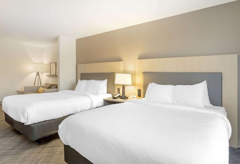 酒店 Comfort Inn & Suites Rustoneast