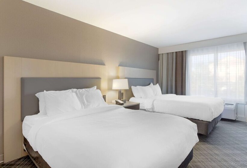 酒店 Comfort Inn & Suites Rustoneast