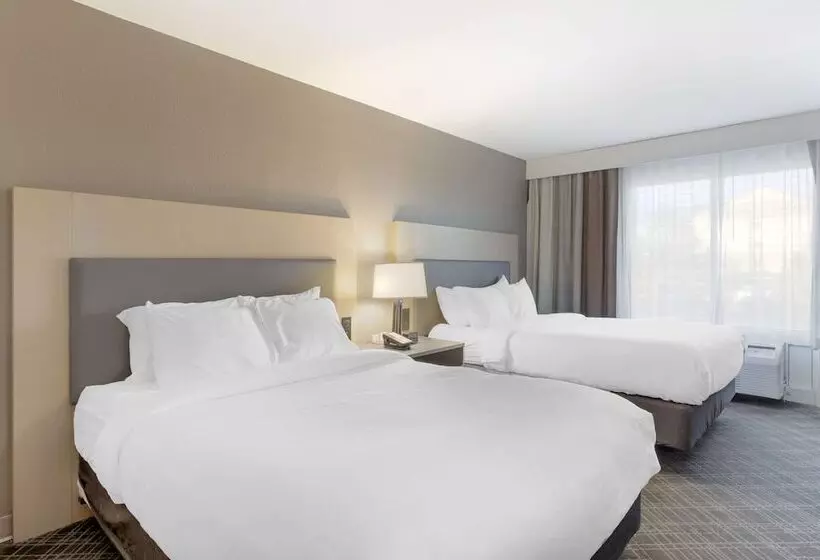 酒店 Comfort Inn & Suites Rustoneast