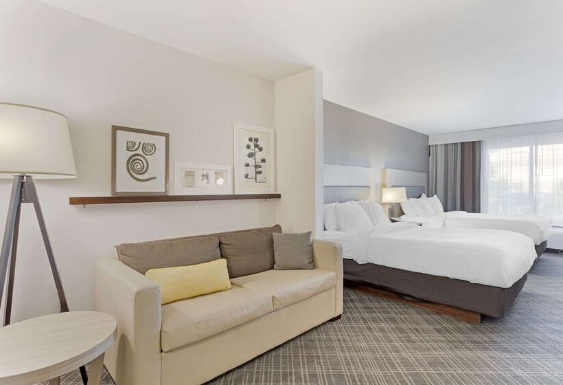 酒店 Comfort Inn & Suites Rustoneast