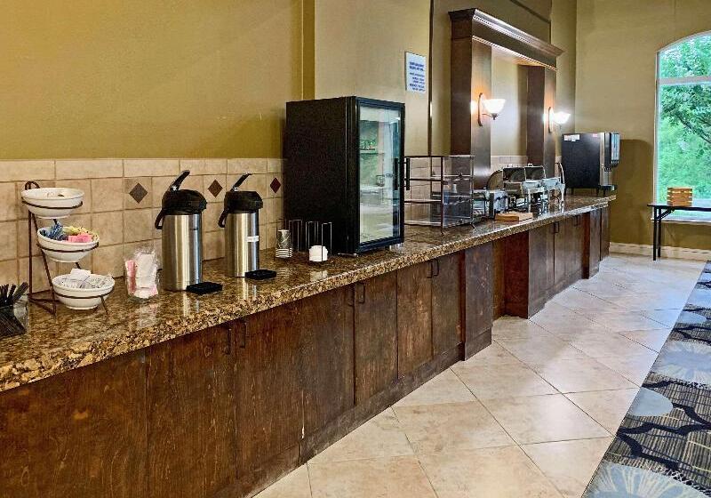 酒店 Comfort Inn & Suites Rustoneast