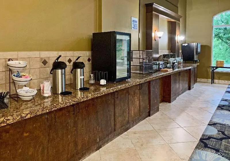 酒店 Comfort Inn & Suites Rustoneast