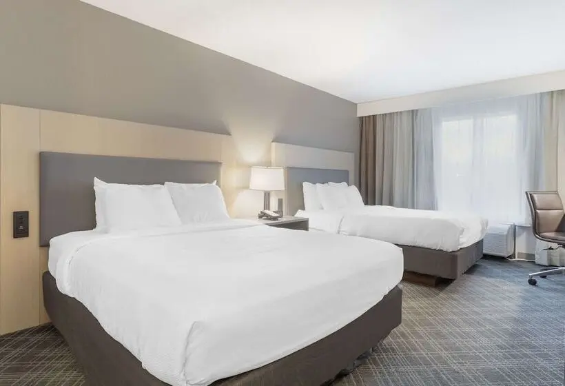 ホテル Comfort Inn & Suites Rustoneast