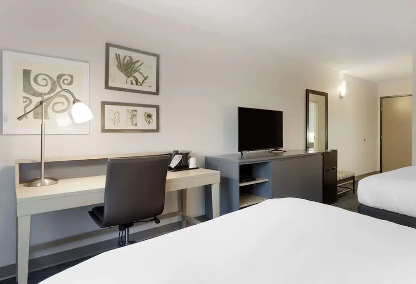 ホテル Comfort Inn & Suites Rustoneast