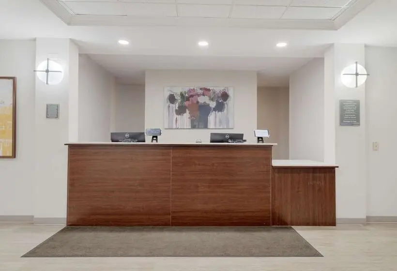 ホテル Comfort Inn & Suites Rustoneast