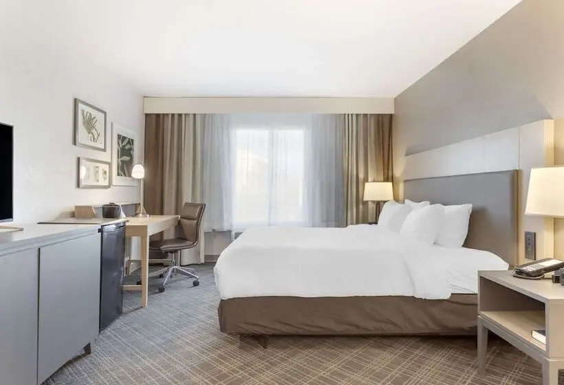 ホテル Comfort Inn & Suites Rustoneast