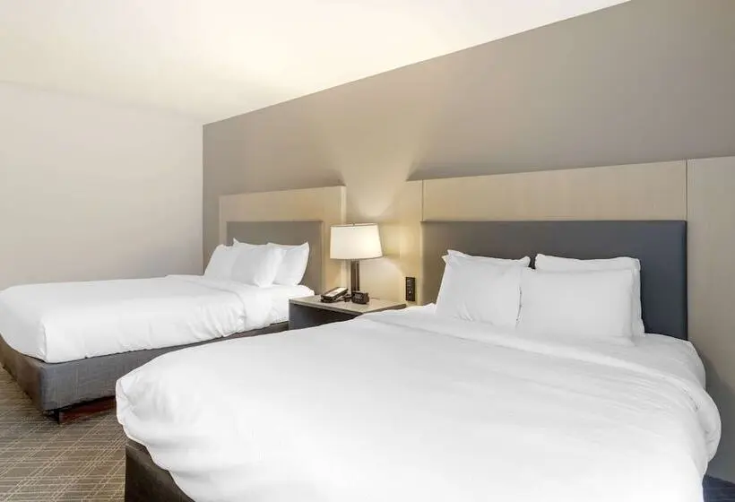 ホテル Comfort Inn & Suites Rustoneast