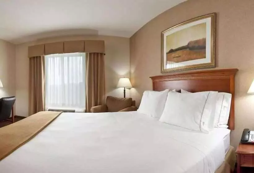 فندق Holiday Inn Express & Suites Sheldon By Ihg