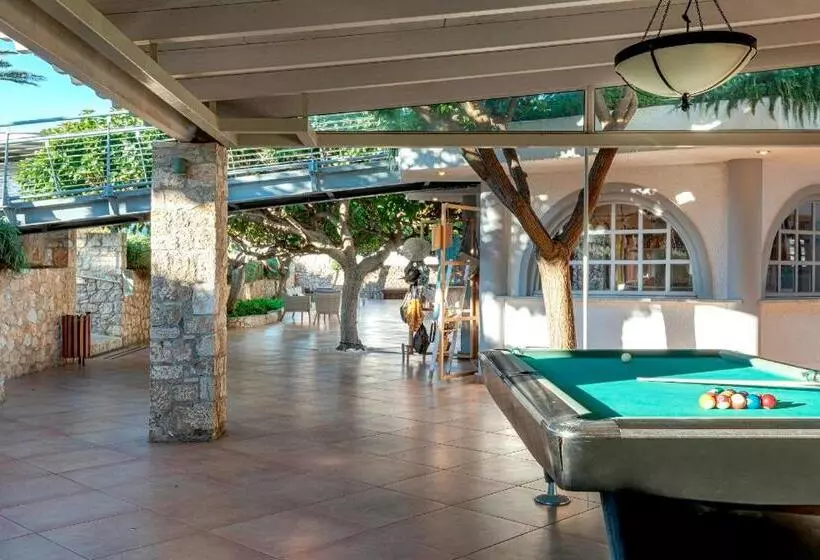 فندق Skiros Palace