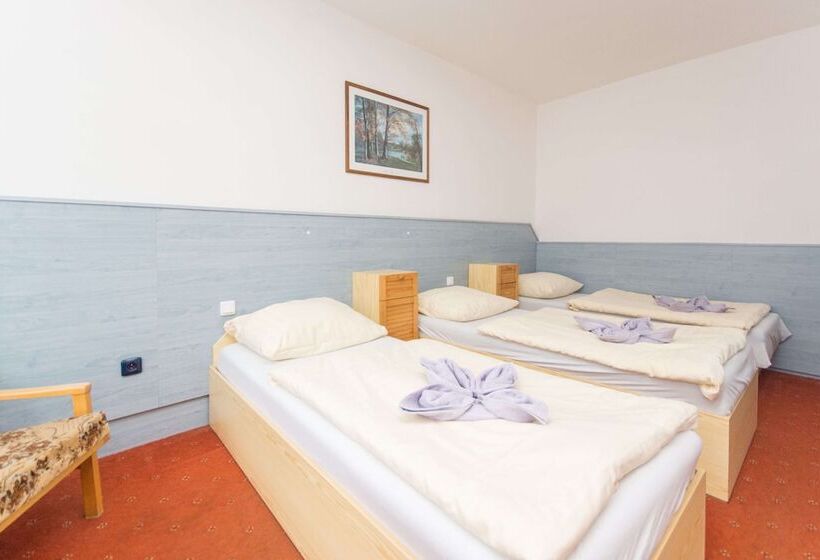 Sport Hotel Gejzirpark