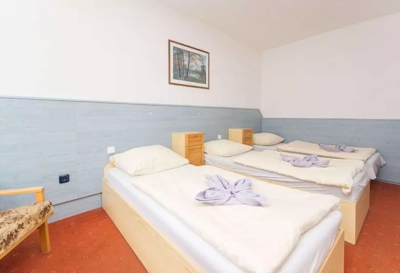 Sport Hotel Gejzirpark