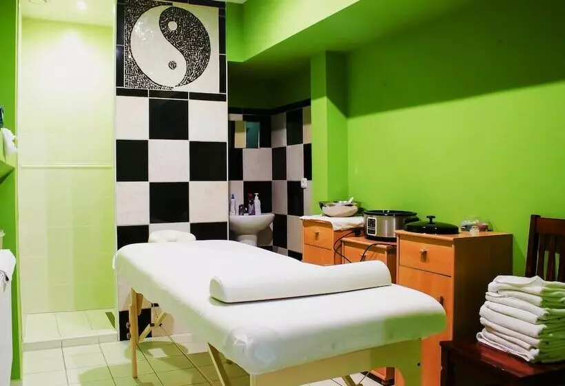 Hotelli Zlaty Lev Zatec