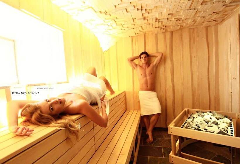 Hotel Zlaty Lev Zatec