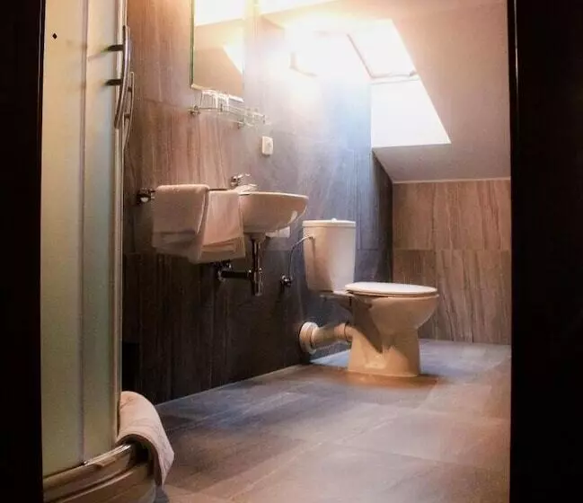 Hotelli Zlaty Lev Zatec