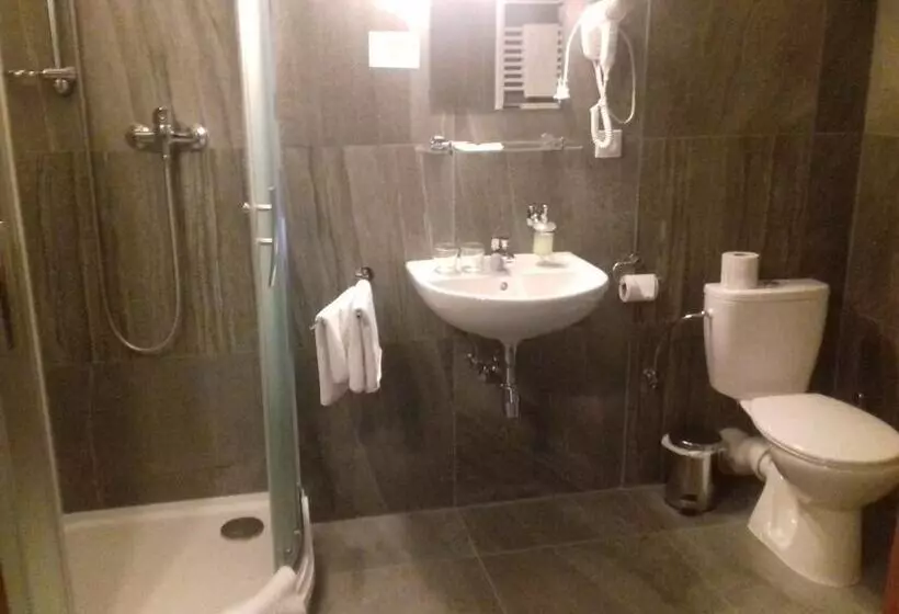 Hotelli Zlaty Lev Zatec