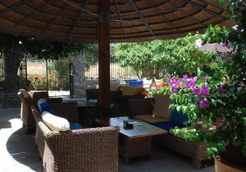 Siroco S Rooms And Studios