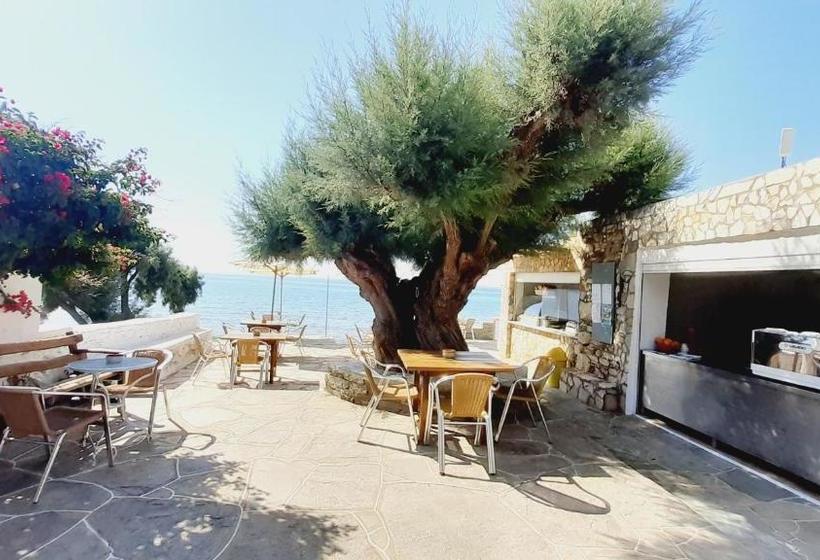 בית מלון כפרי Lodge Narlis