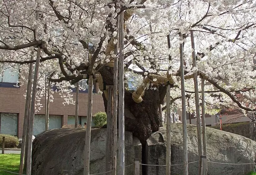 فندق Pearl City Morioka