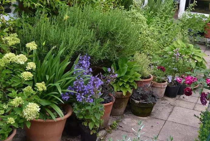 住宿加早餐  Heron House