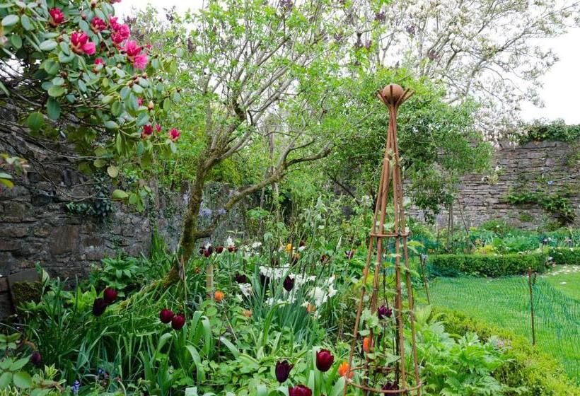 ベッドアンドブレックファースト Heron House