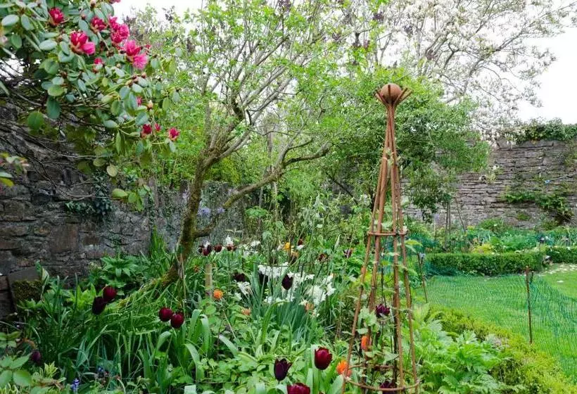 住宿加早餐  Heron House