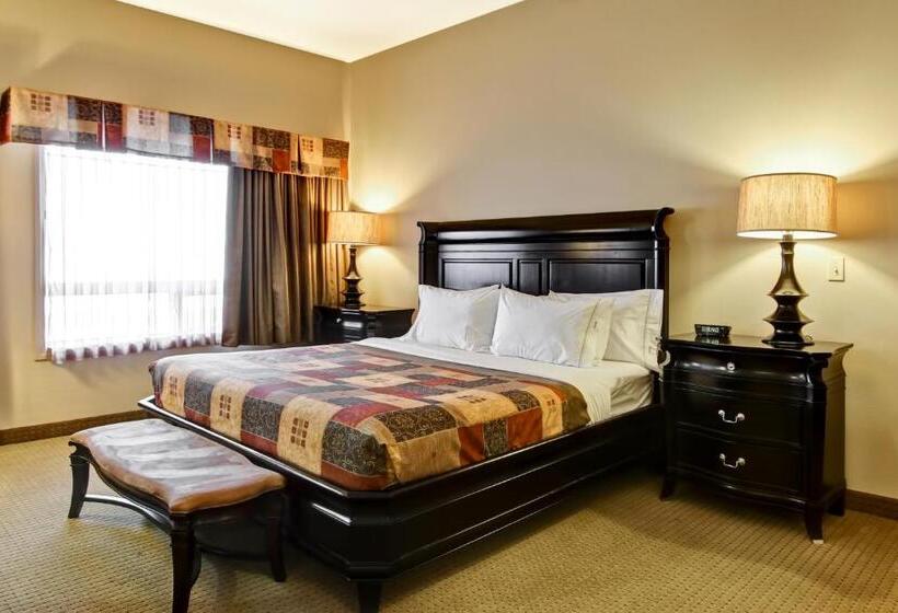 호텔 Canalta Camrose