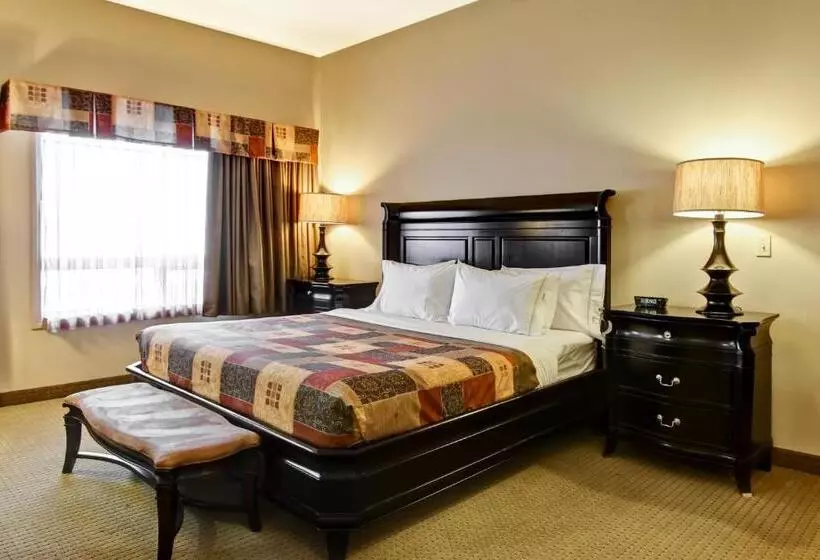 호텔 Canalta Camrose