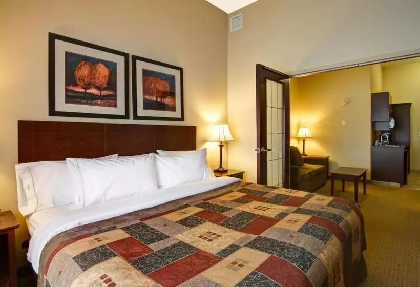 호텔 Canalta Camrose