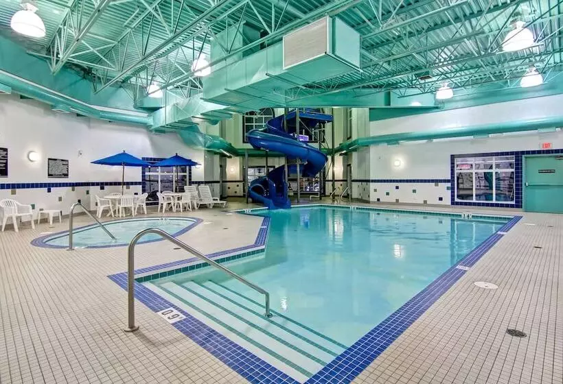 호텔 Canalta Camrose