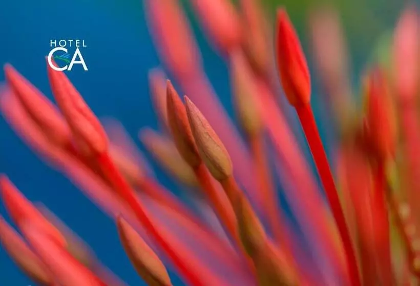 酒店 Canto Das Aguas Roteiro De Charme