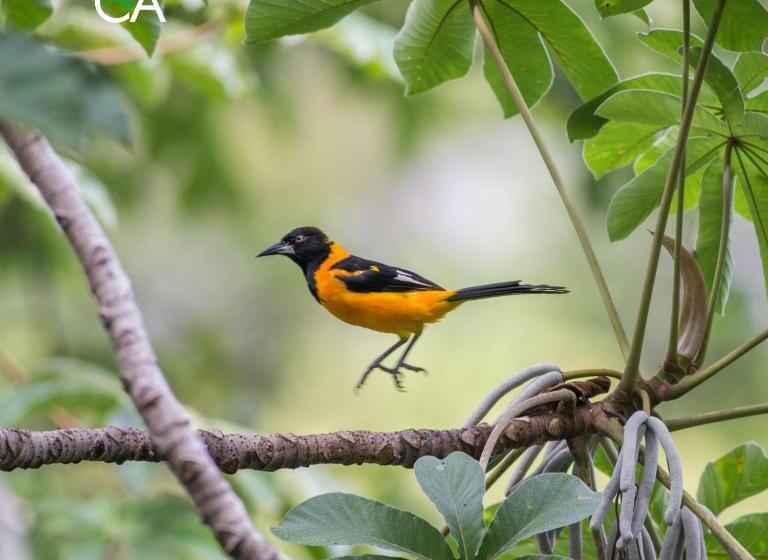 호텔 Canto Das Aguas  Roteiro De Charme